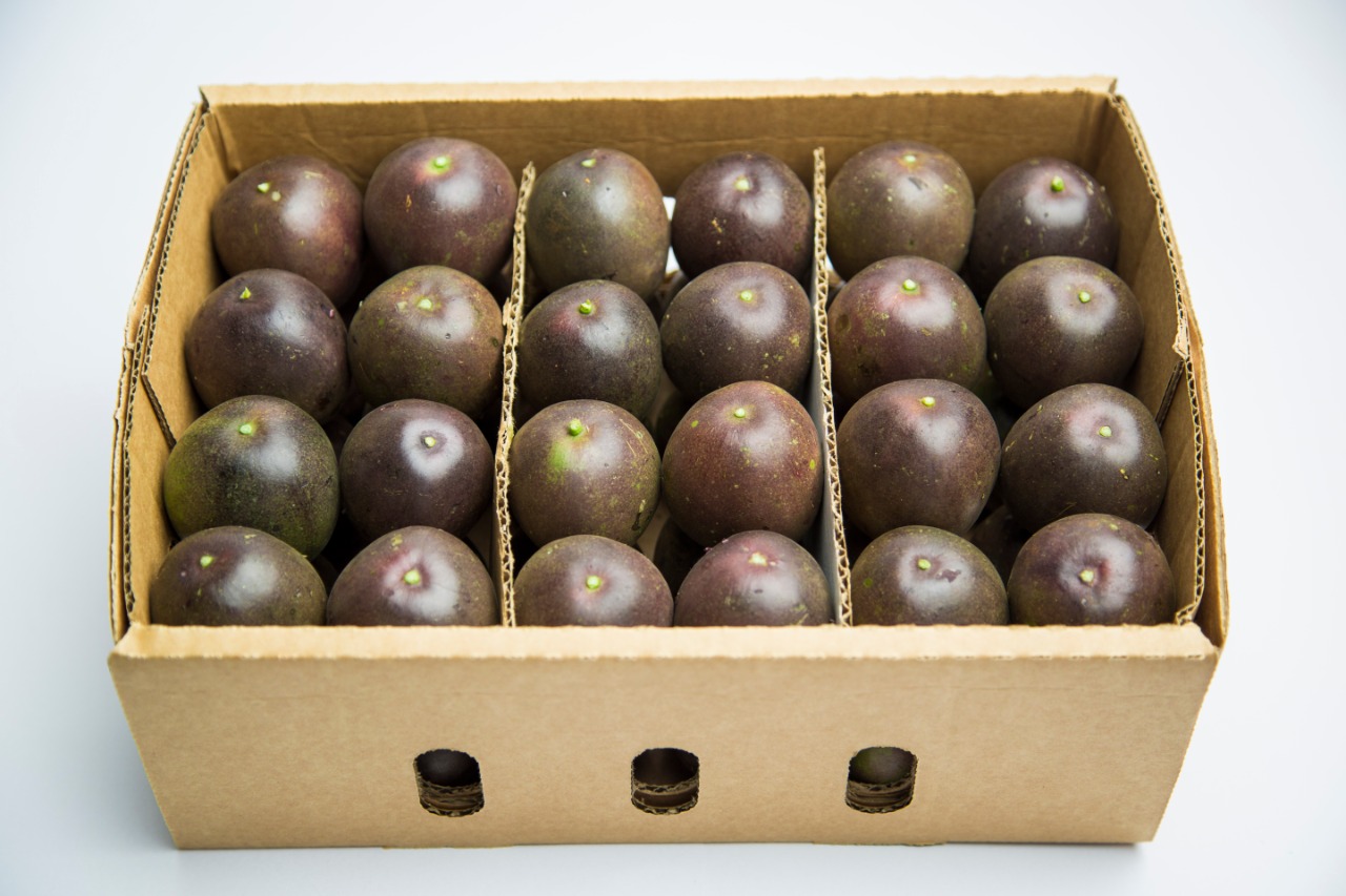 Passion Fruit
